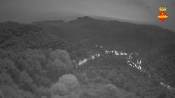 Webcams