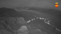 Webcams