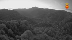 Webcams