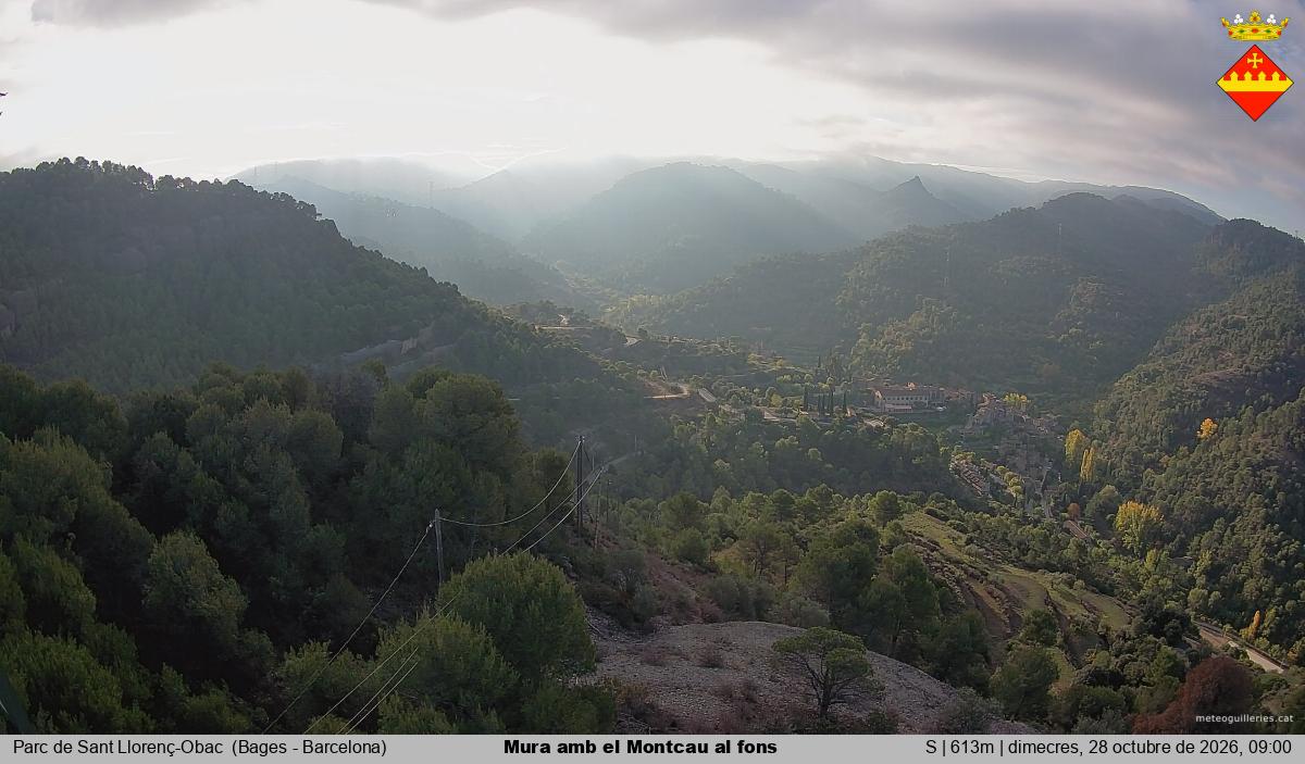 Mura amb el Montcau al fons