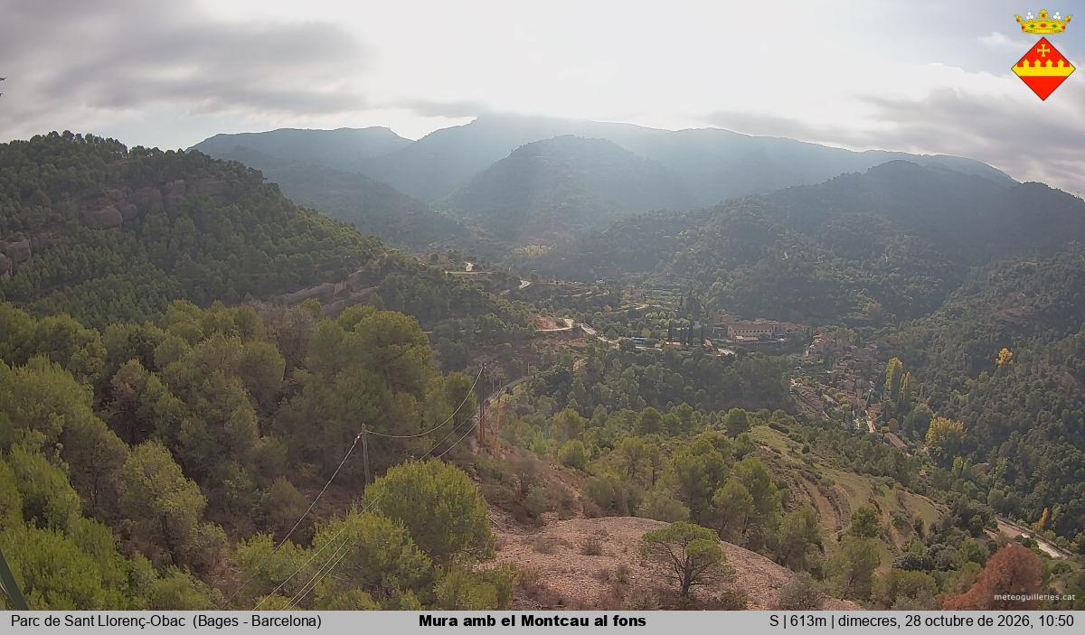 Mura amb el Montcau al fons