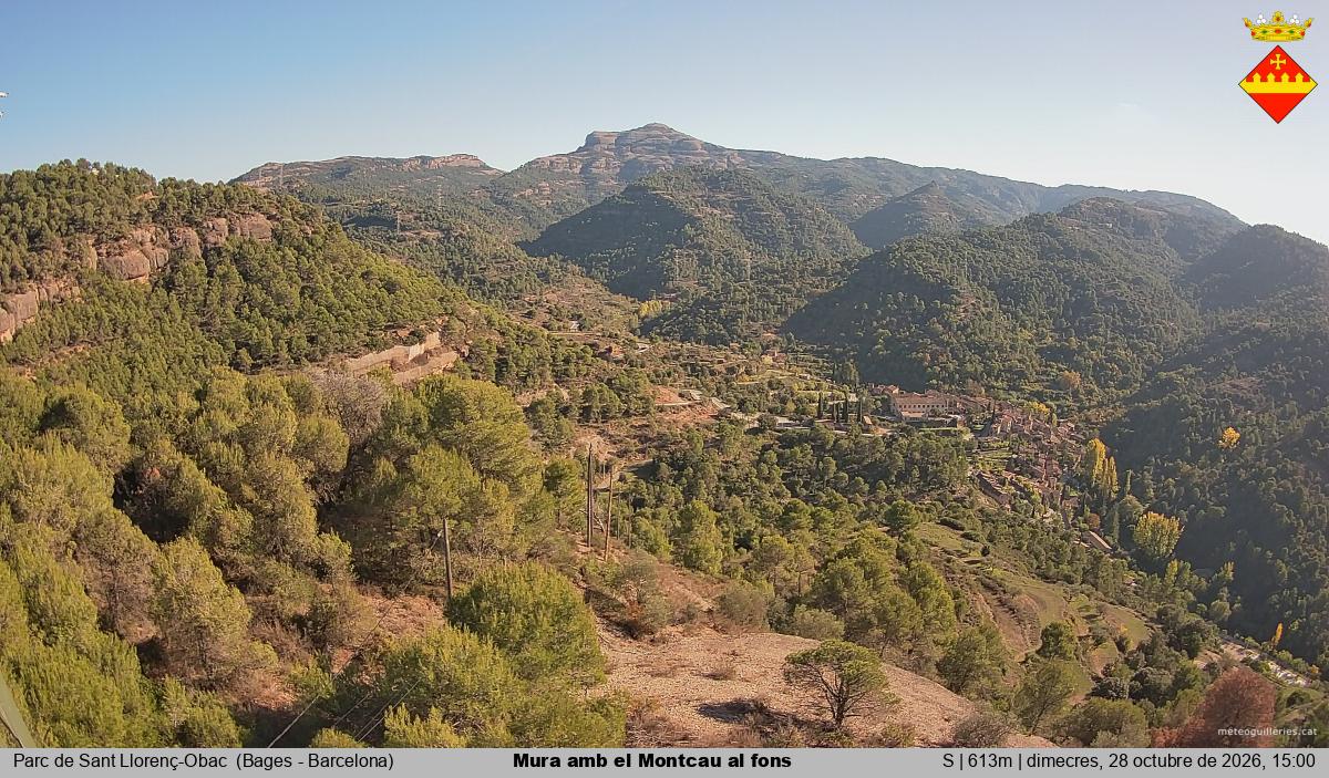 Mura amb el Montcau al fons