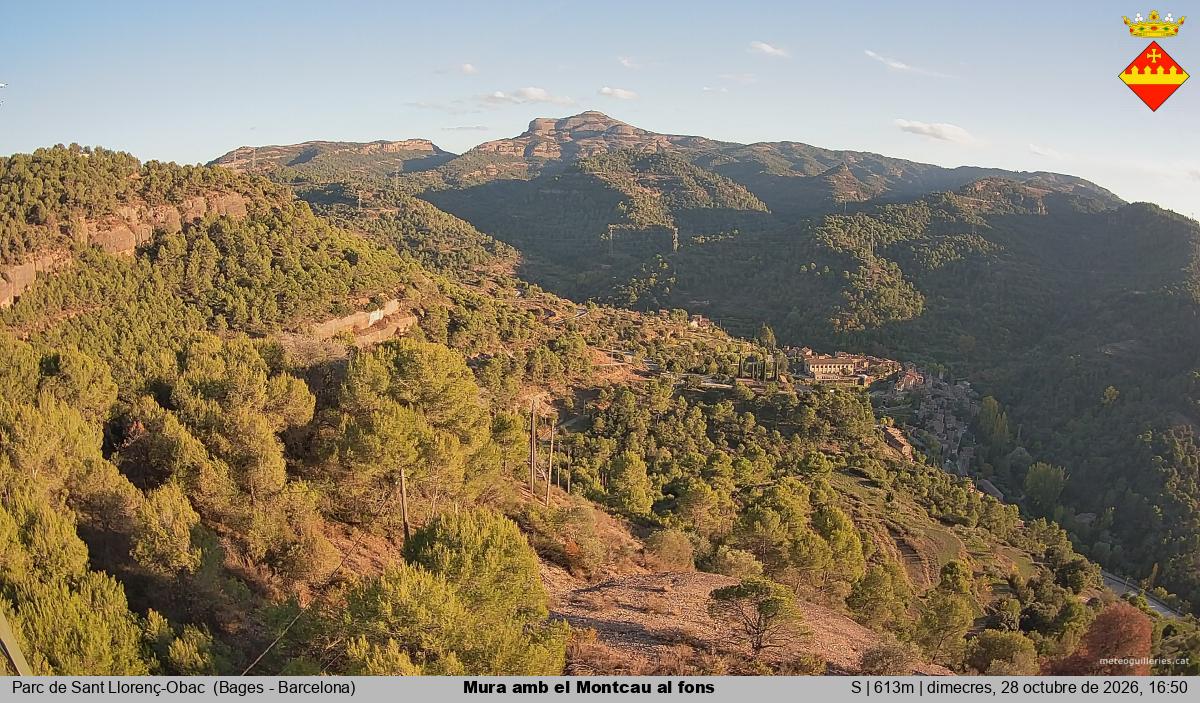 Mura amb el Montcau al fons