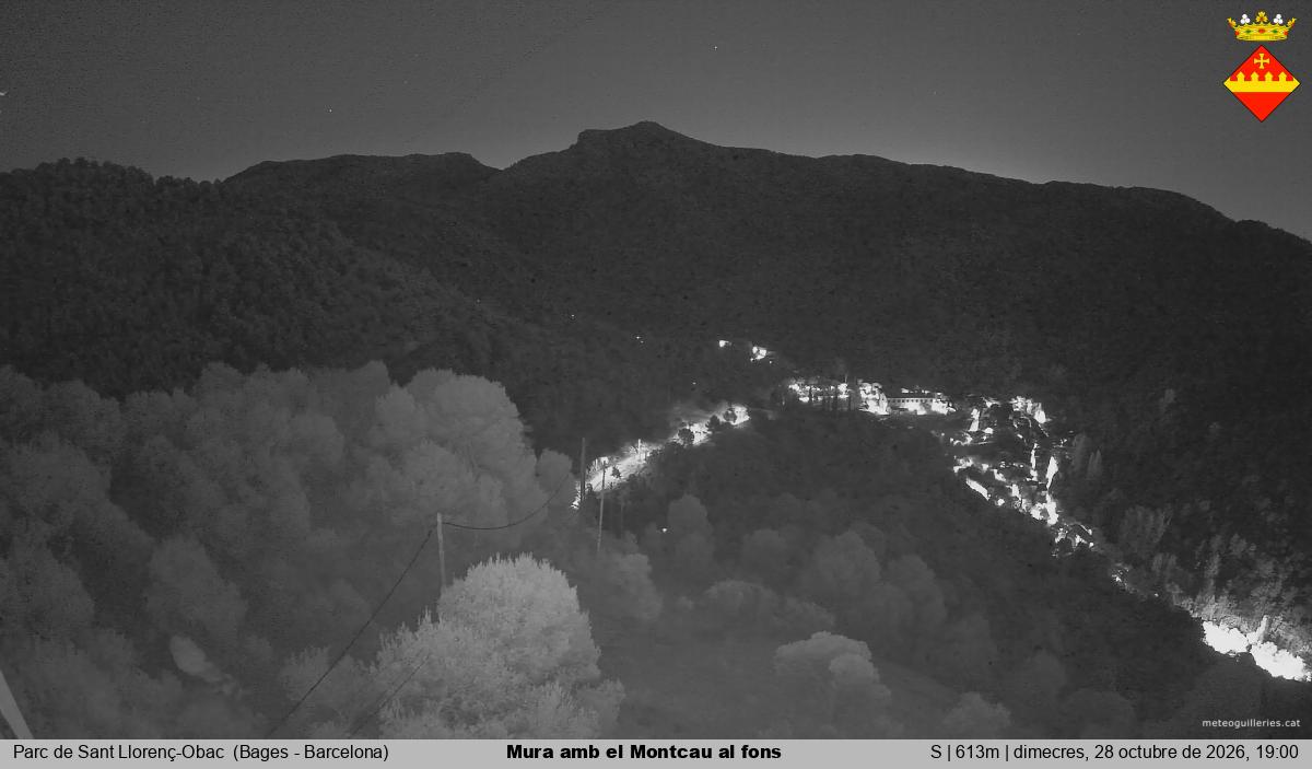 Mura amb el Montcau al fons