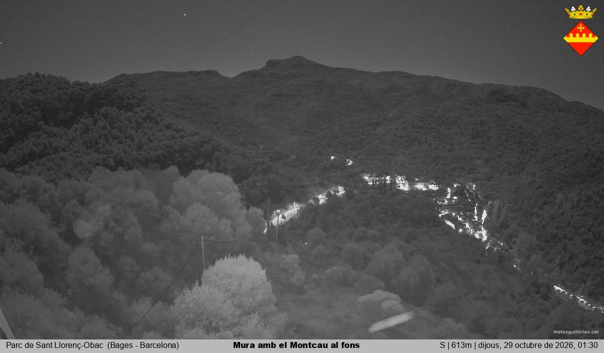 Mura amb el Montcau al fons