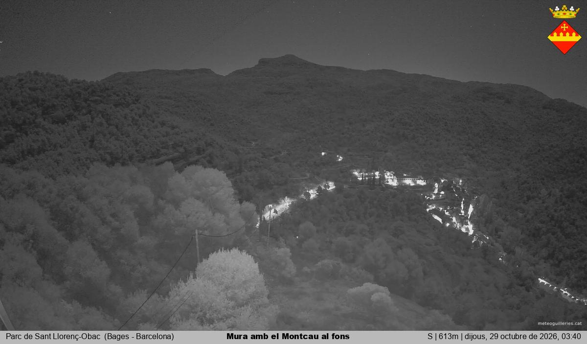 Mura amb el Montcau al fons