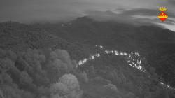Webcams