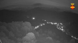 Webcams
