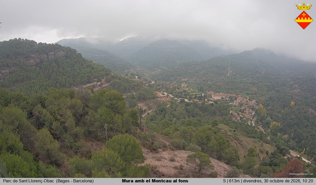 Mura amb el Montcau al fons
