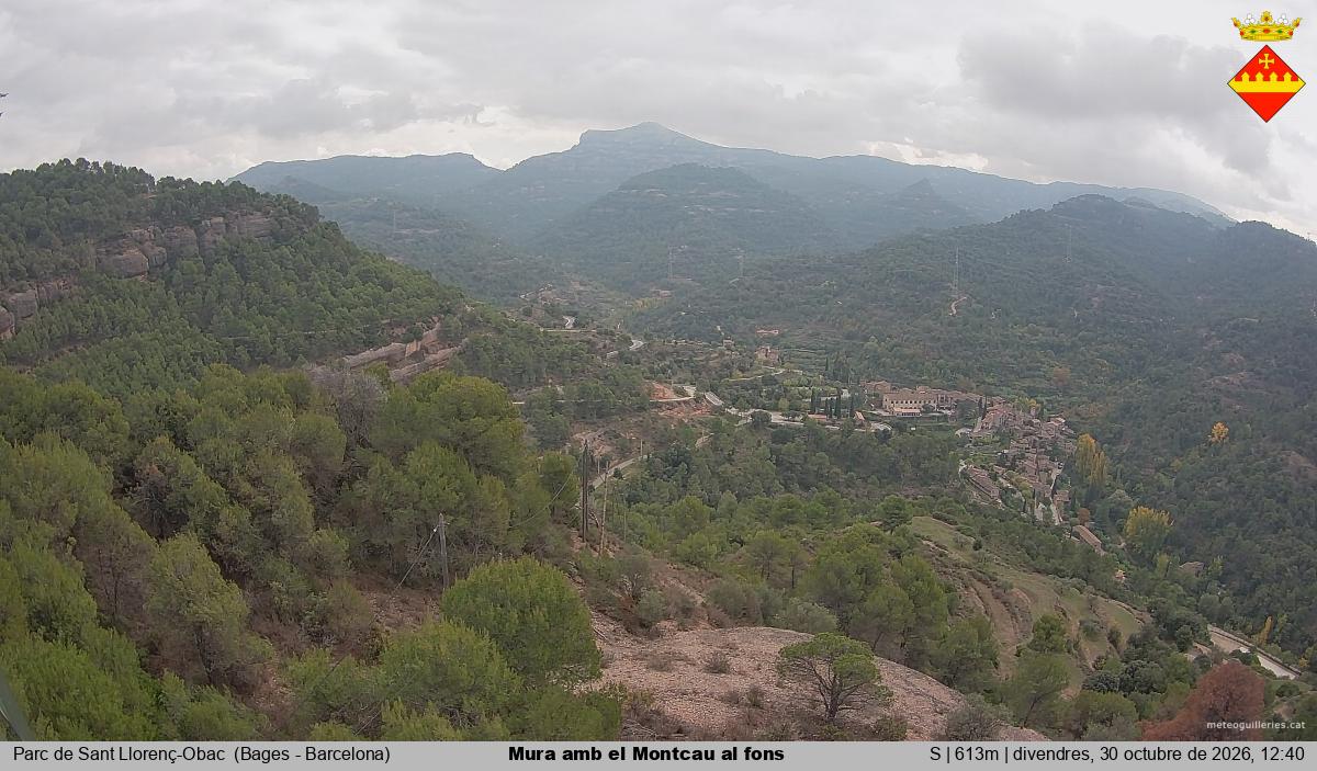Mura amb el Montcau al fons