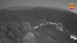 Webcams