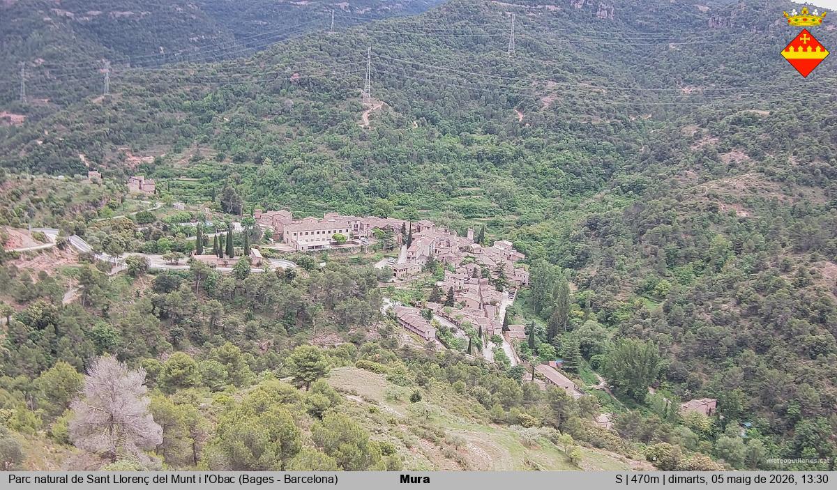 Mura 