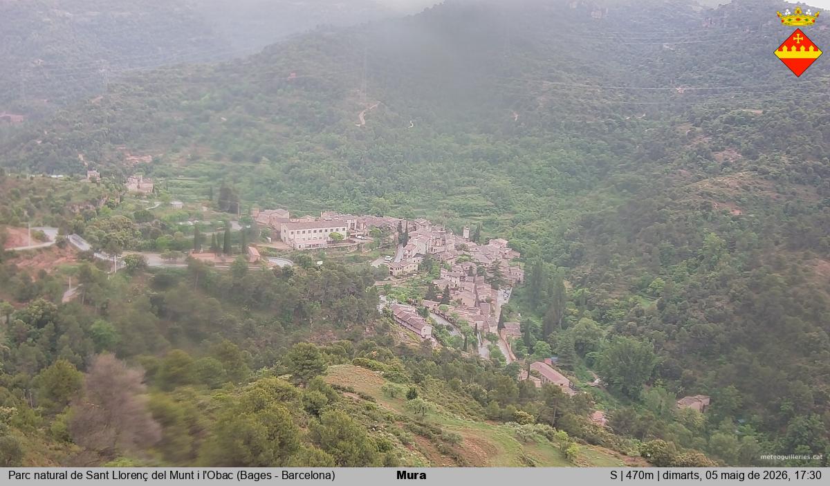 Mura 