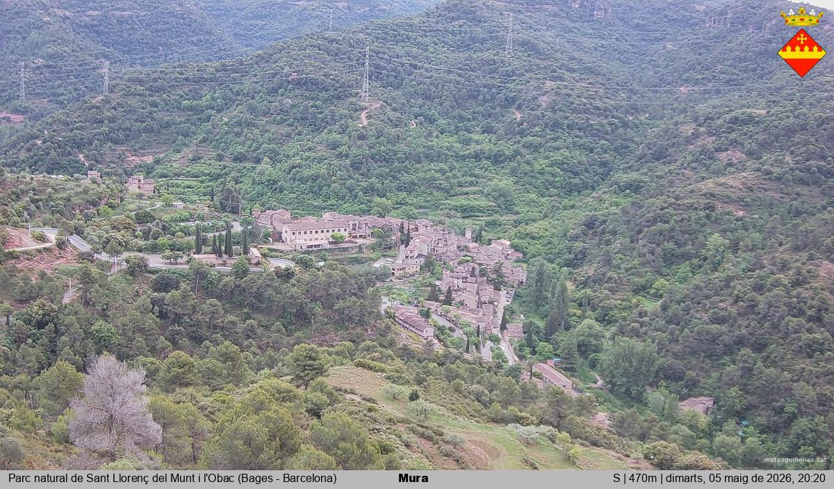 Mura 