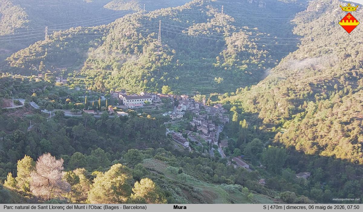 Mura 