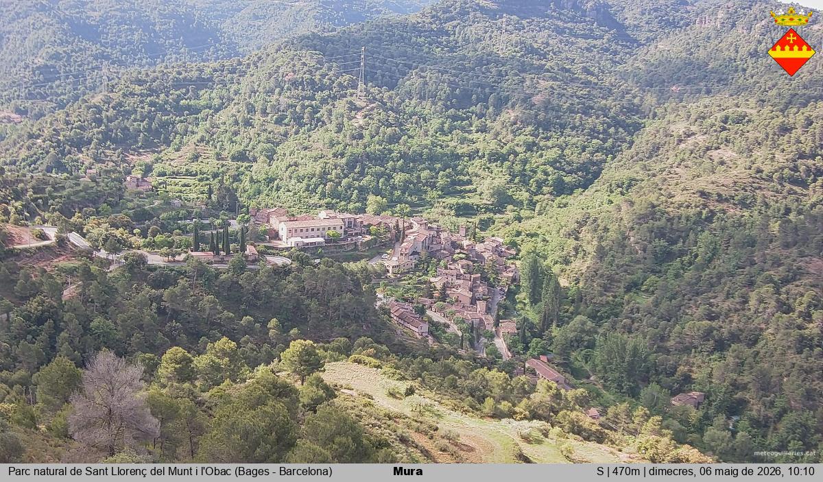Mura 