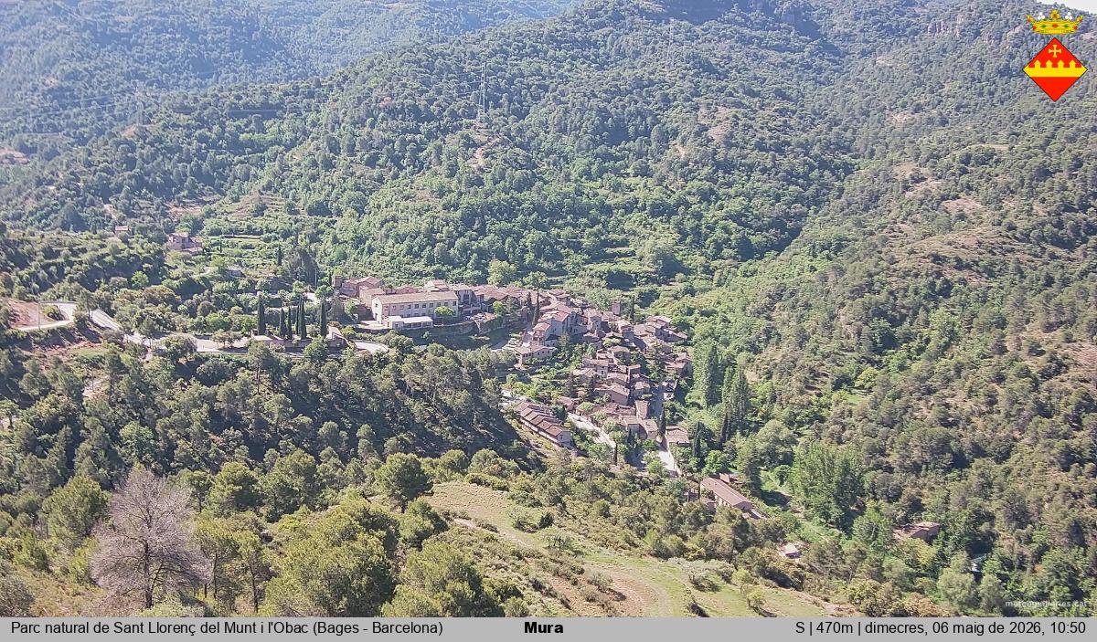 Mura 
