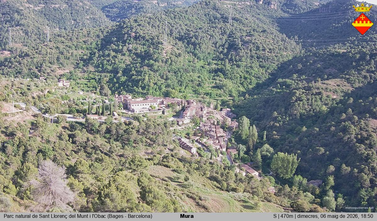 Mura 