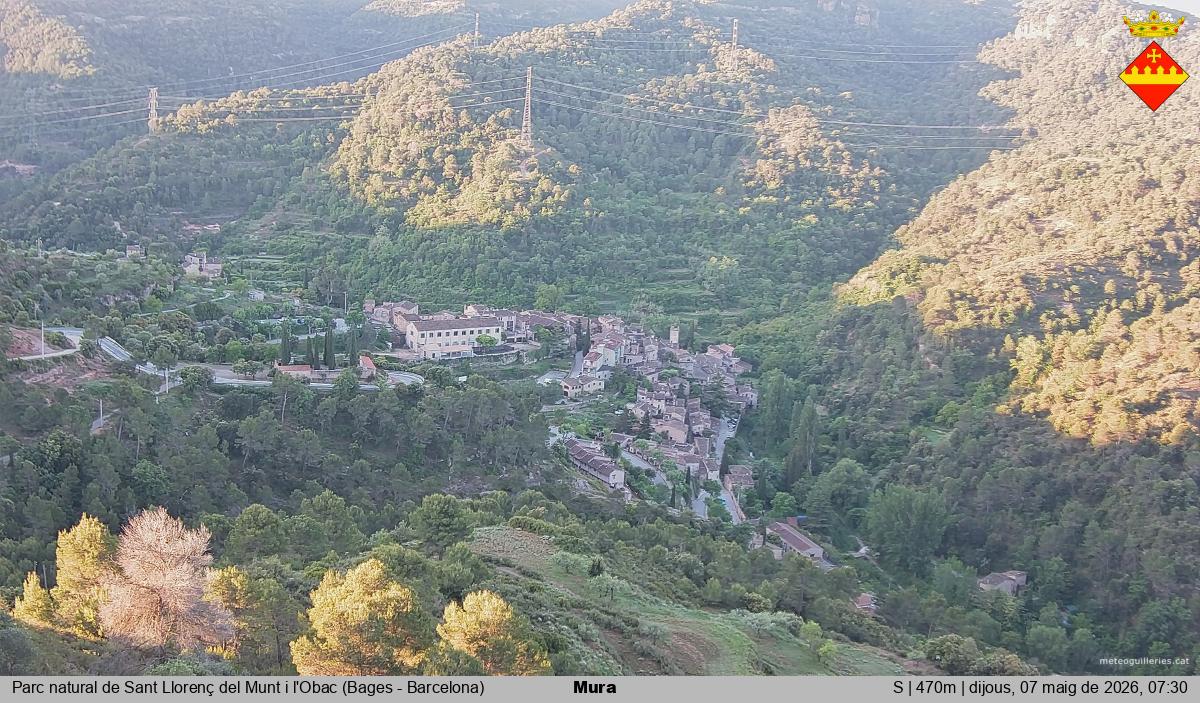 Mura 