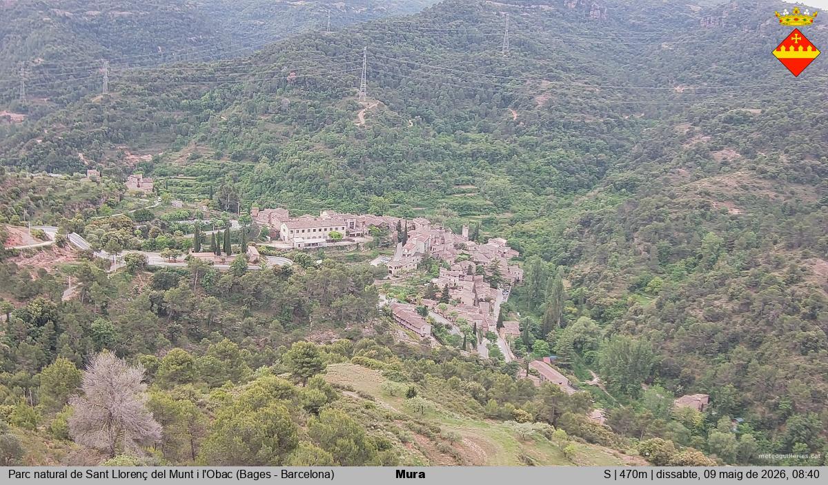 Mura 