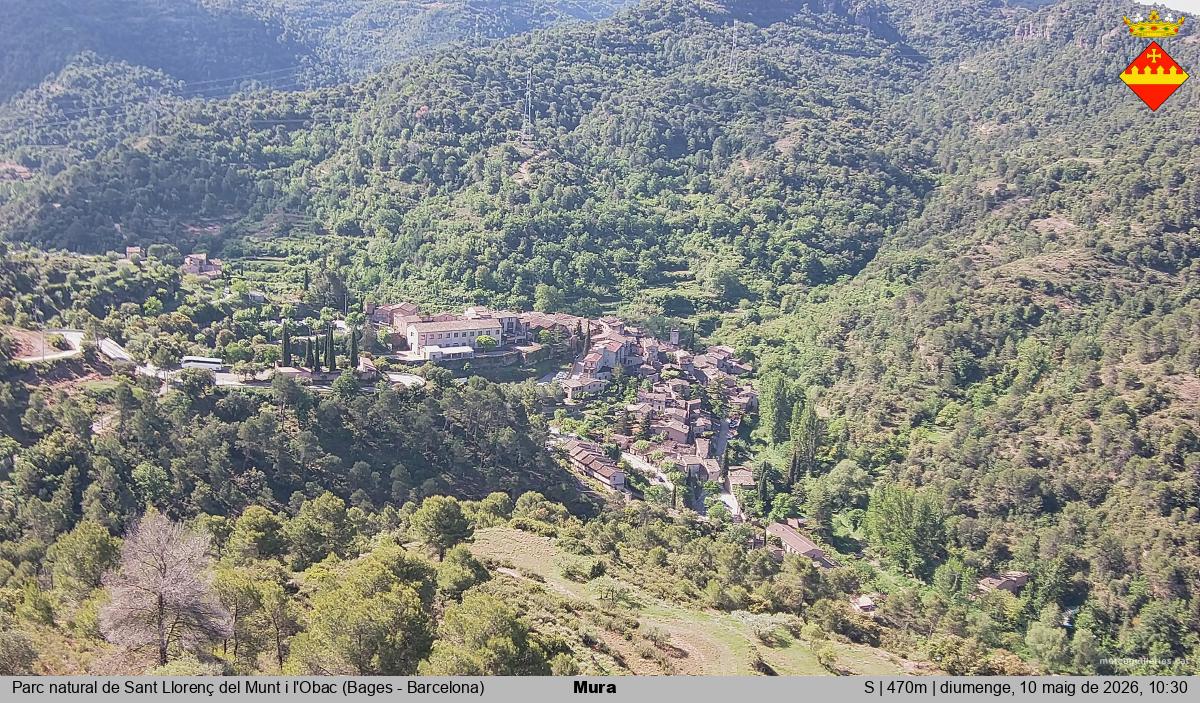 Mura 