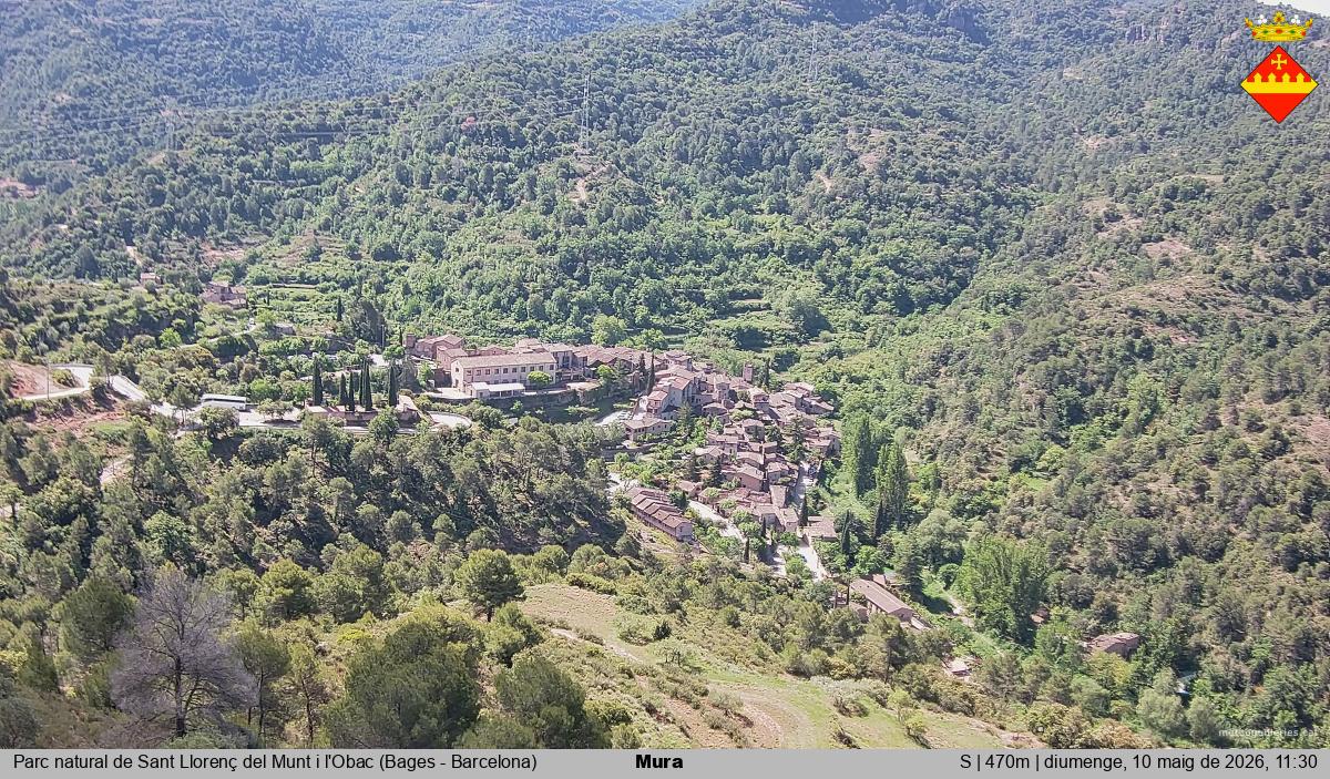 Mura 