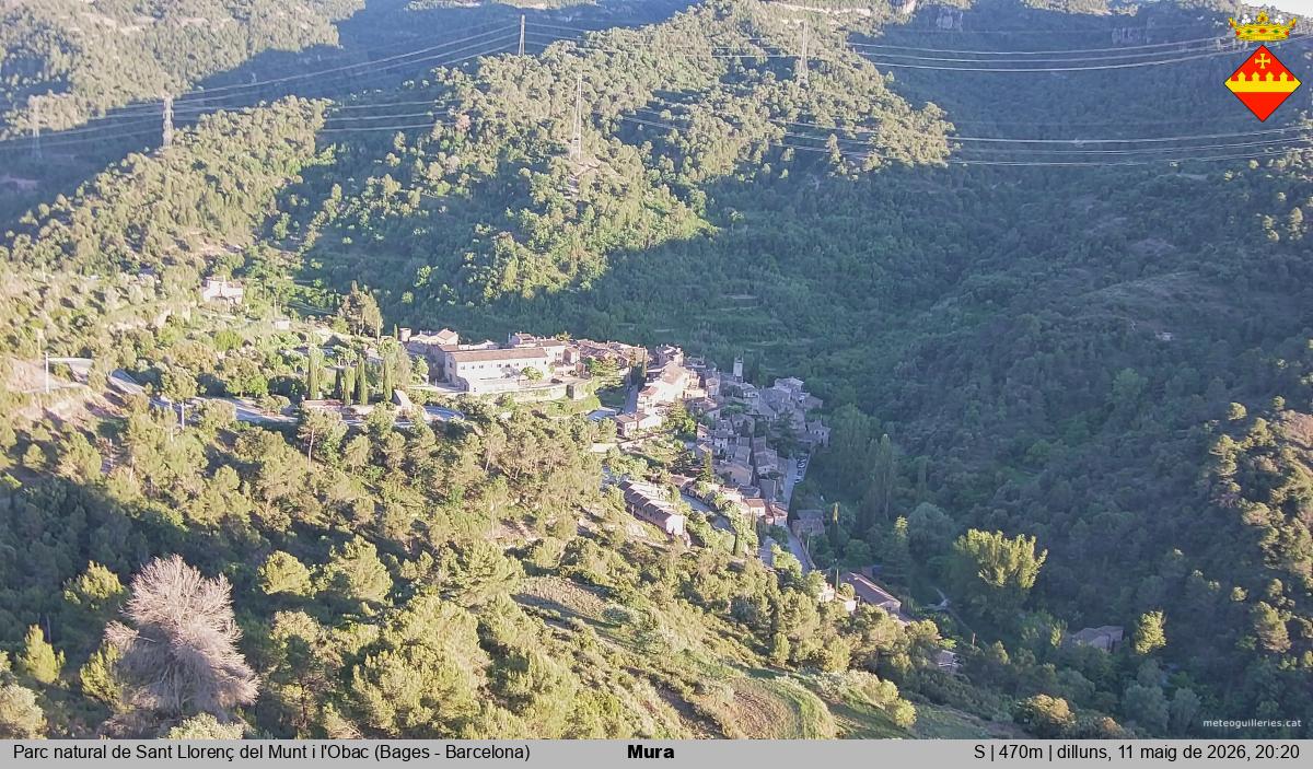 Mura 