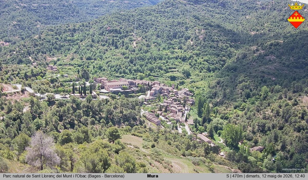 Mura 