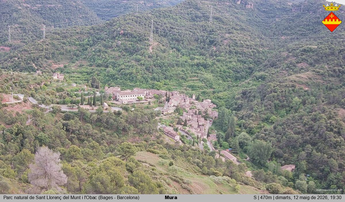 Mura 