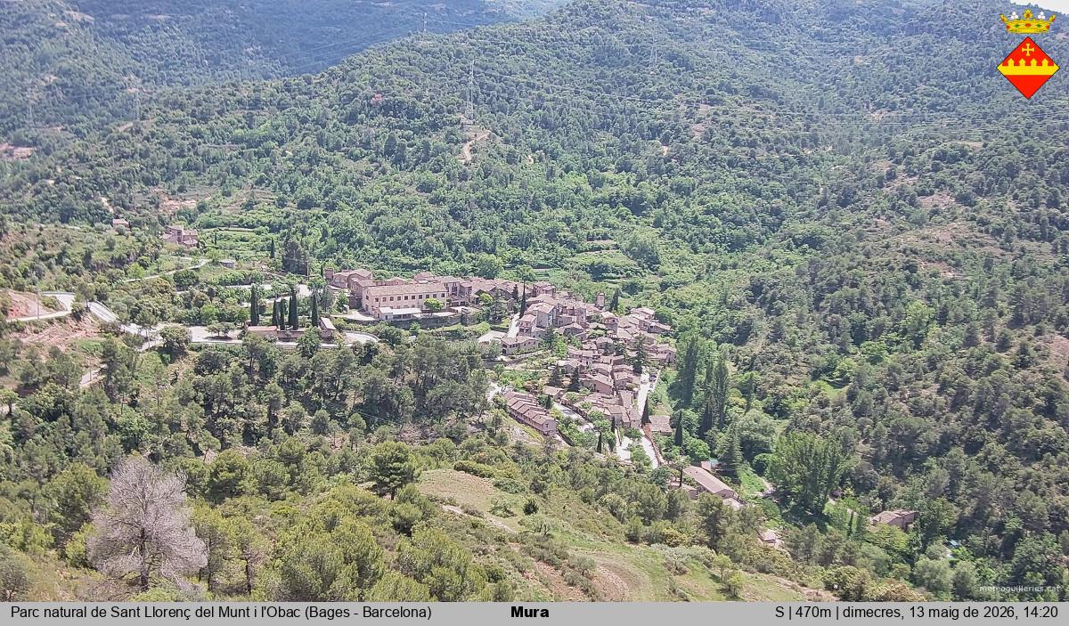 Mura 