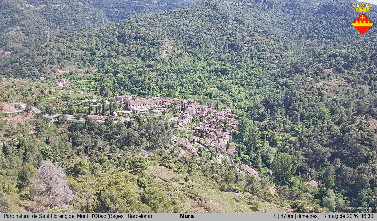 Mura 