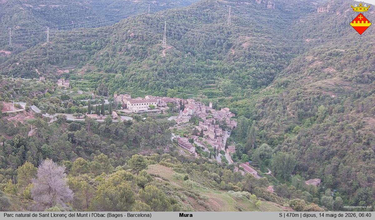 Mura 