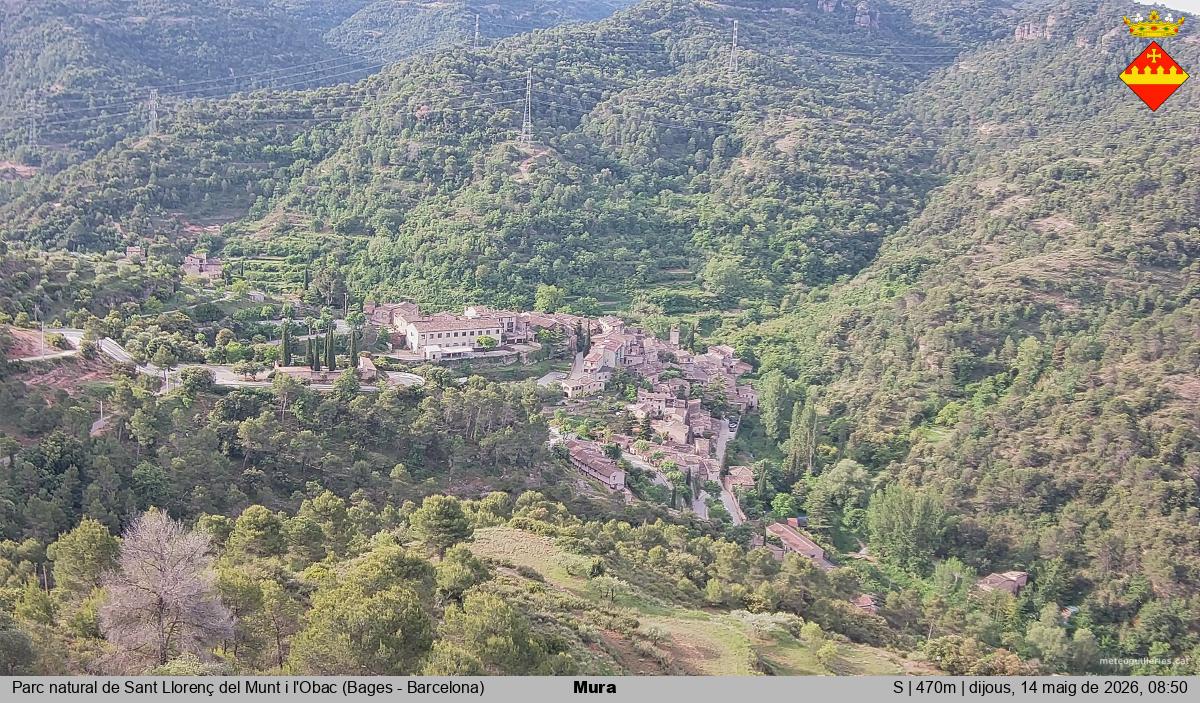 Mura 