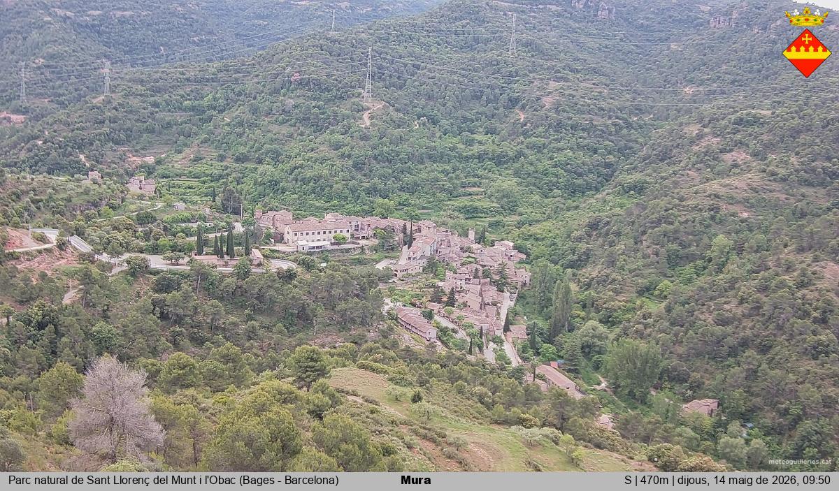 Mura 