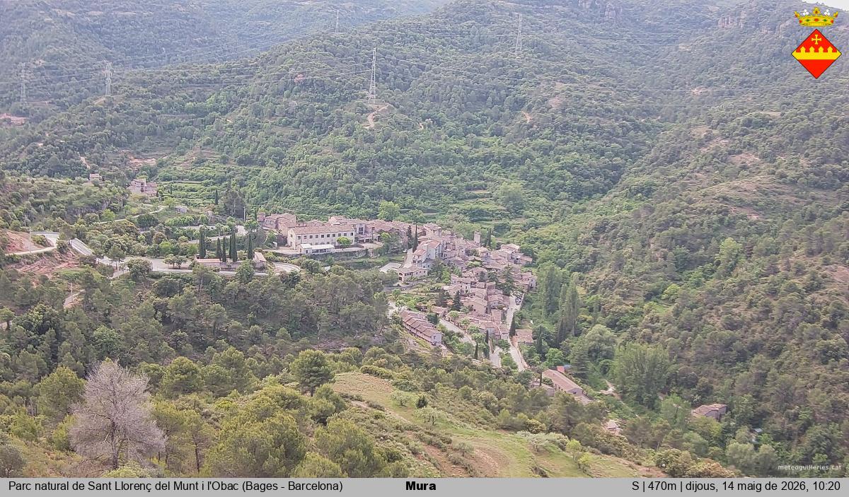 Mura 