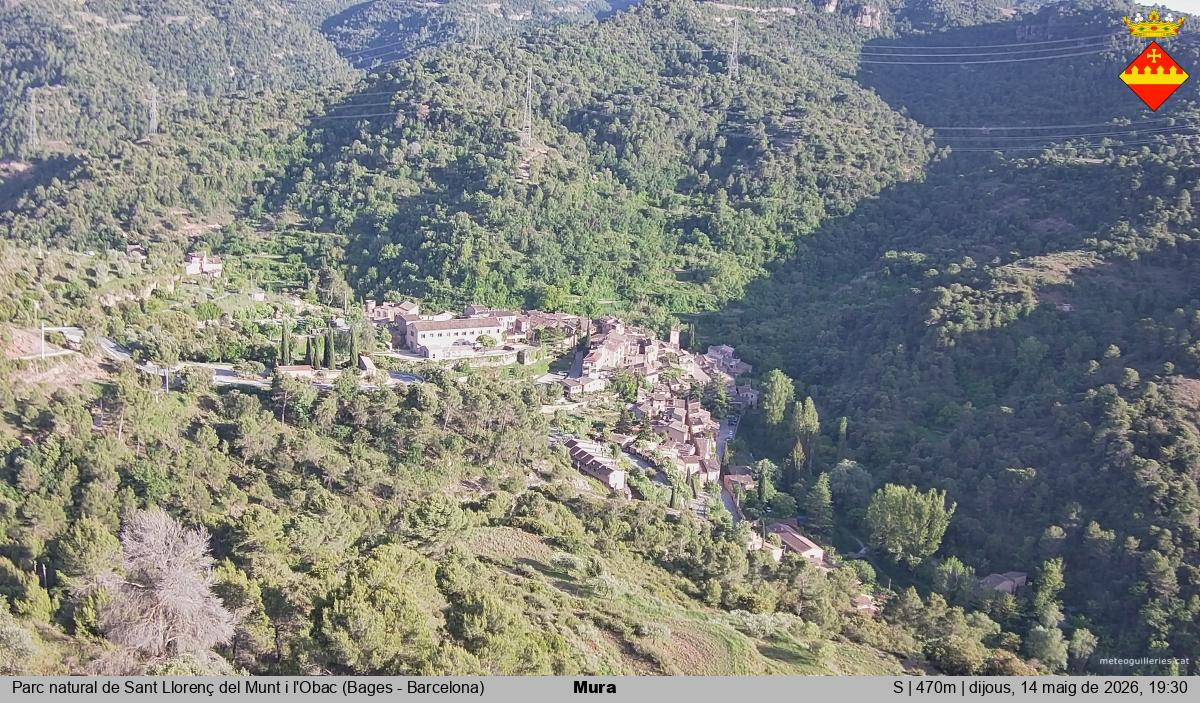 Mura 