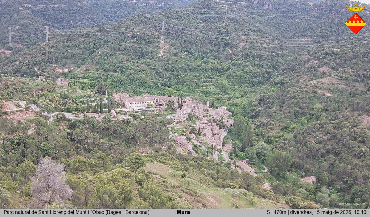 Mura 