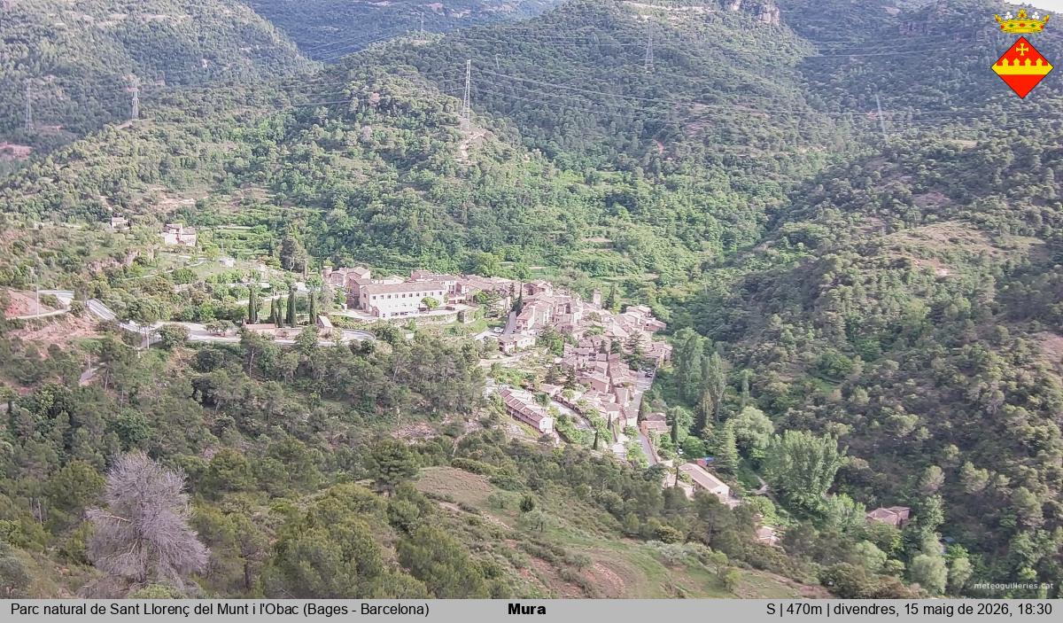 Mura 