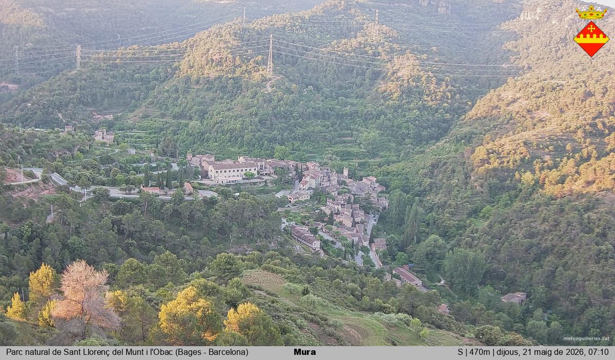 Mura 