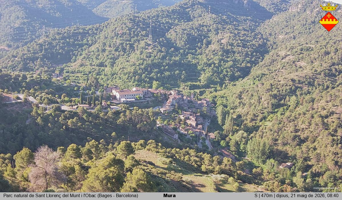 Mura 