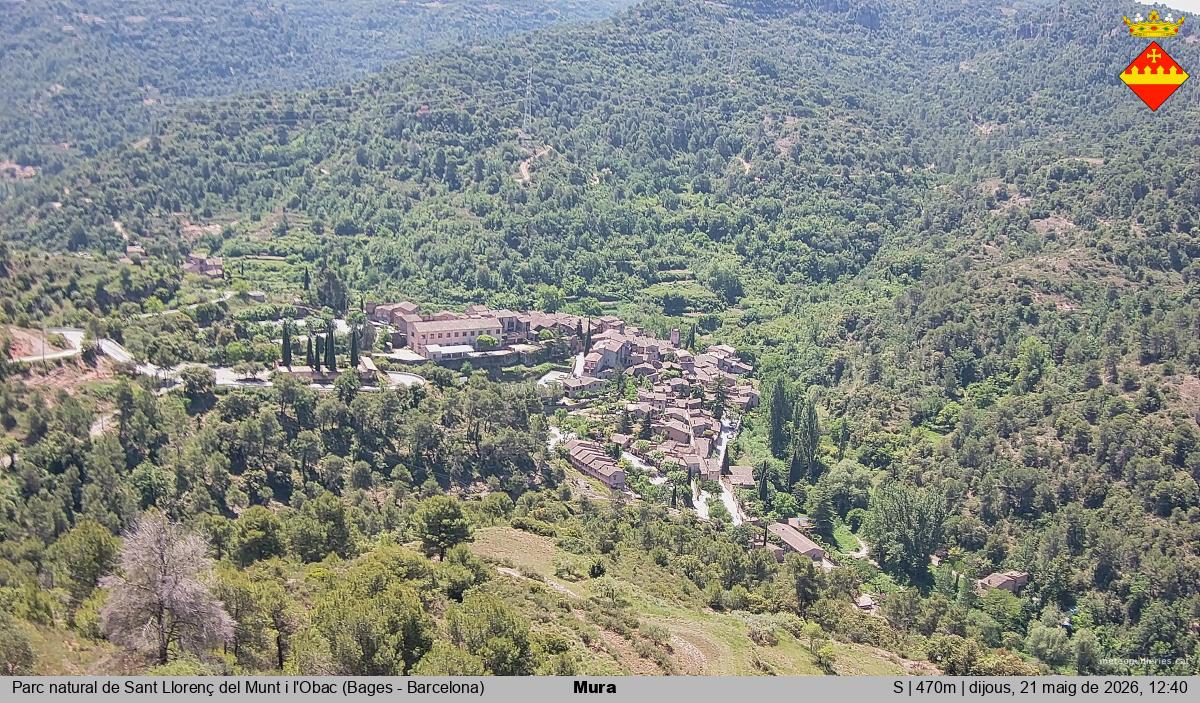 Mura 