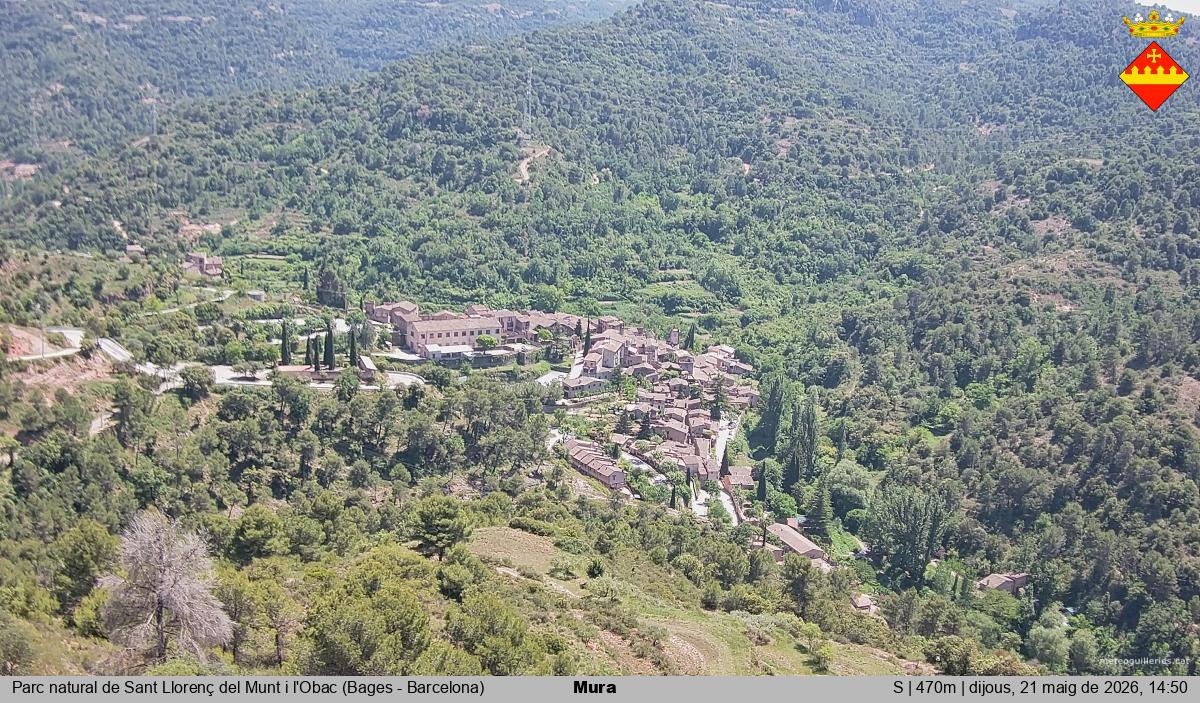 Mura 