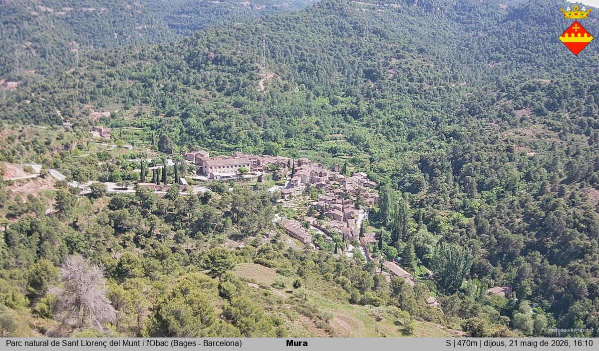 Mura 