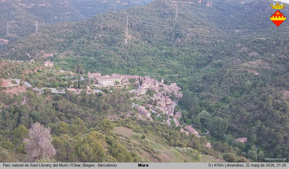 Mura 