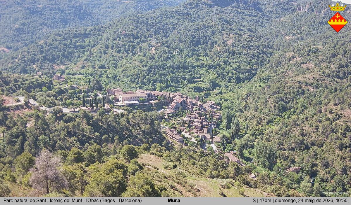 Mura 