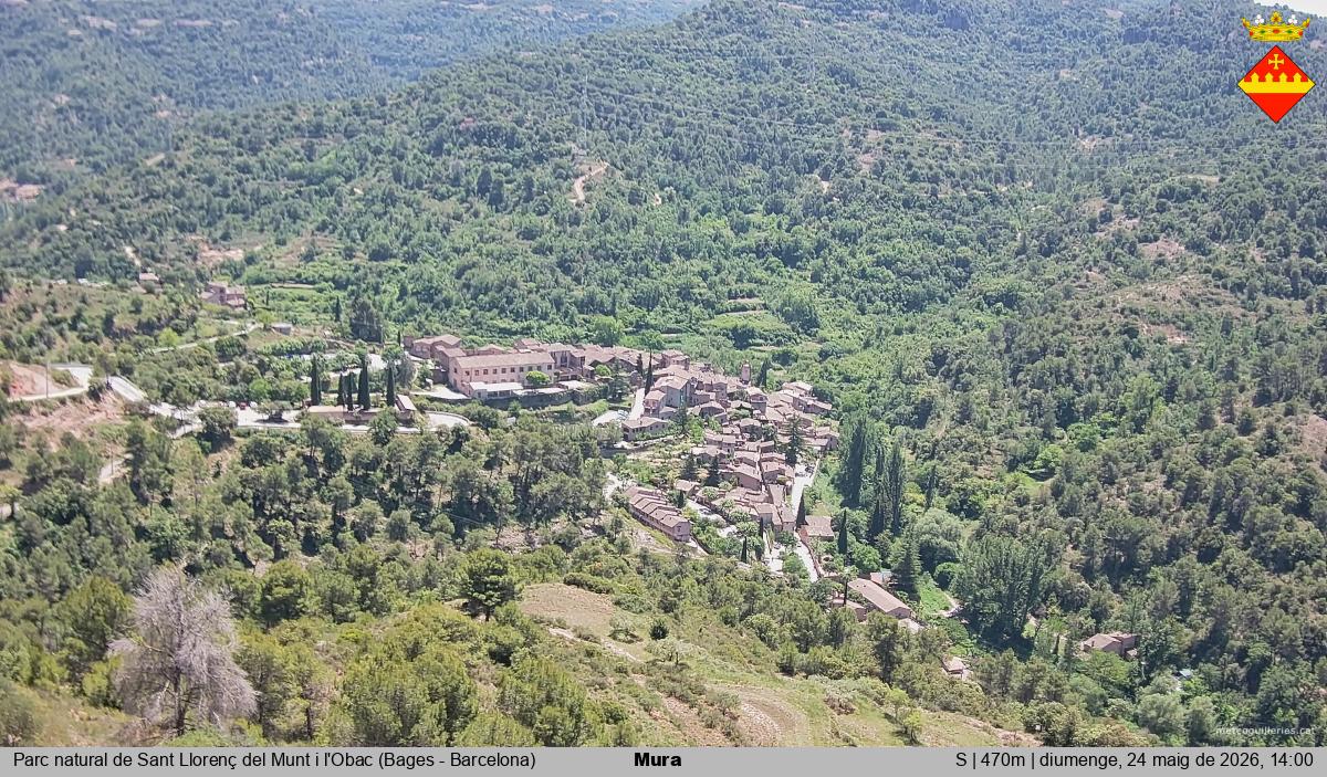 Mura 