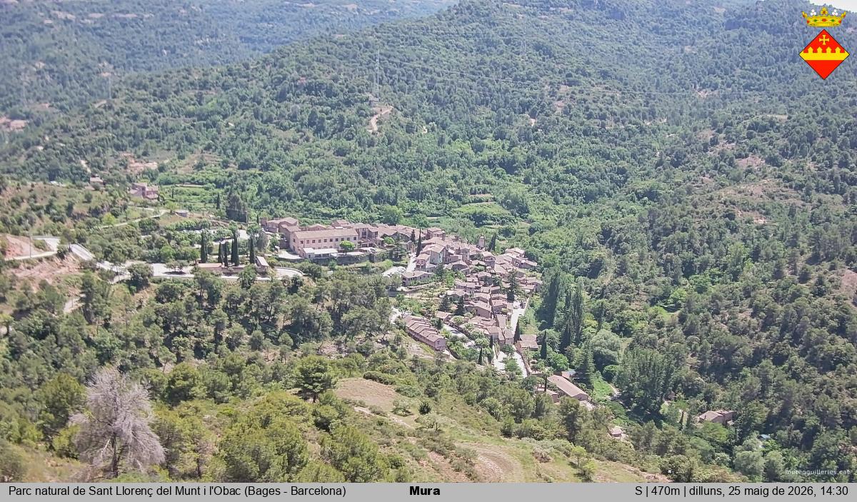 Mura 