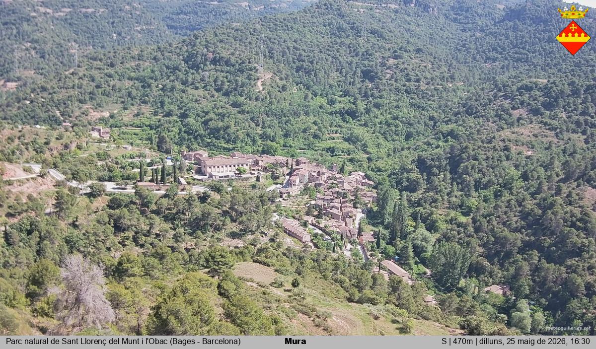 Mura 