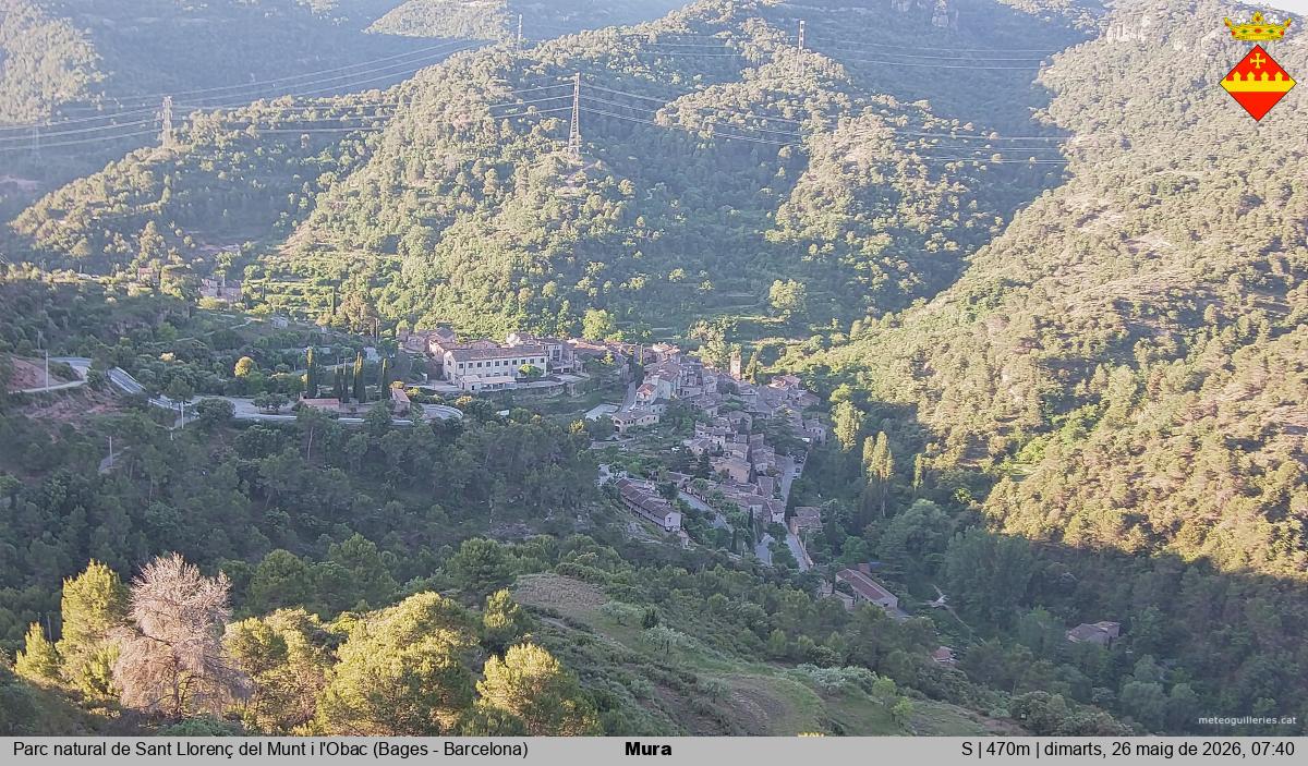 Mura 