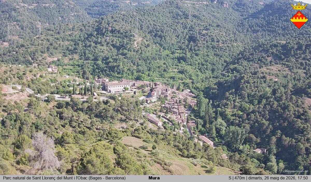 Mura 